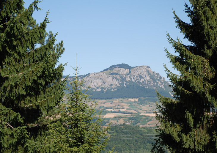 Planina